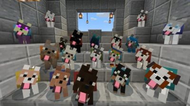 Wolves Plus Add-On v5.0.3 on the Minecraft Marketplace by JWolf Creations