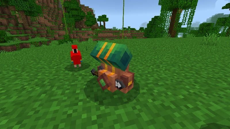 Bundle & Backpack Add-On by Red Eagle Studios