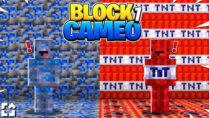 Block Cameo 1