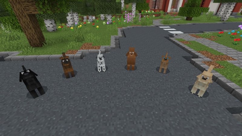 Dogs by Fall Studios