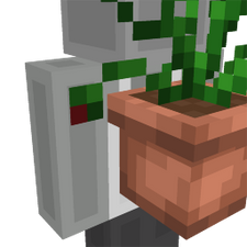 Carnivorous Plant Carnivorous Plant