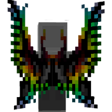 RGB Ender Wings