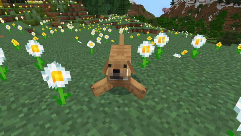 Basic Dogs Add-On (1.1) by CrackedCubes