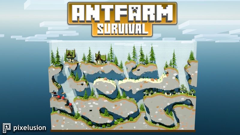Antfarm Survival