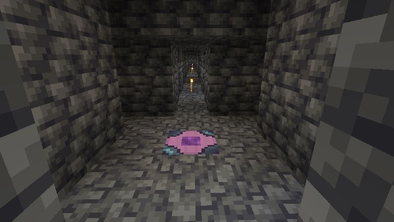 Elevators and Conveyors by EduElfie