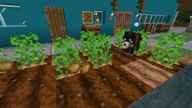 Wolves Plus AddOn on the Minecraft Marketplace by JWolf Creations