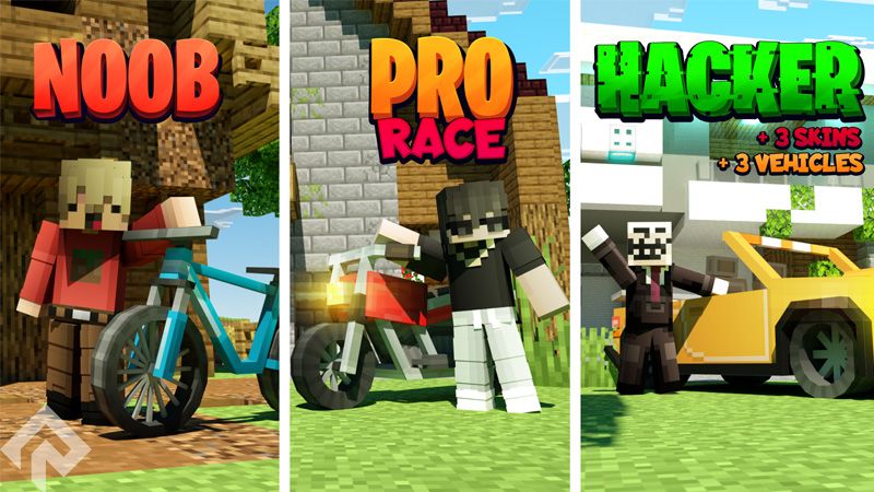 Noob vs Pro vs Hacker Race