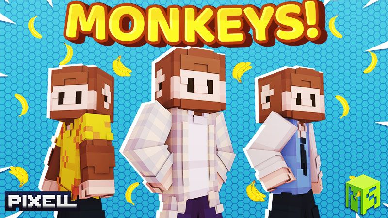 Monkeys!