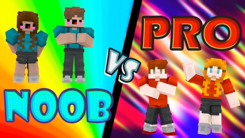 Noob VS Pro