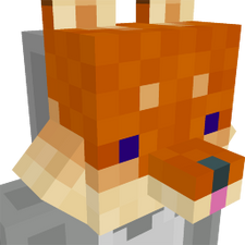 Fox Face Fox Face