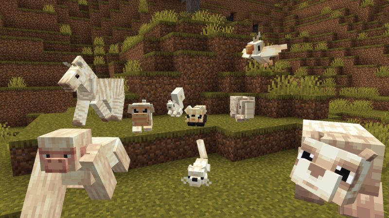 Albino Animals by Hourglass Studios