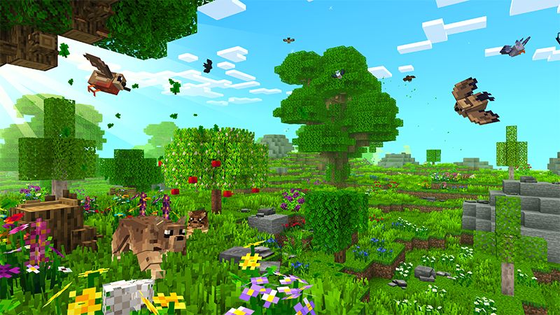 REALISM 1.1 \\ Fields+Forests by Panascais