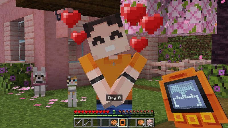 Friend EXE Add-On 1.1 by BLOCKLAB Studios