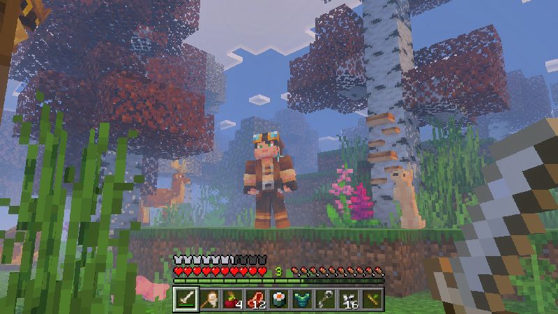 Vanilla Biomes+ 1.1 Add-On by ThunderAy