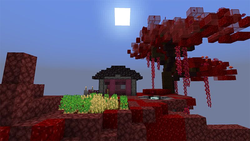 Nether Chunk Skyblock by inPixel