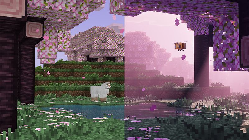 Prizma Visuals 2.0 by Starfish Studios