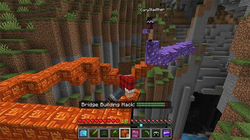 Hacker Add-On by Lifeboat