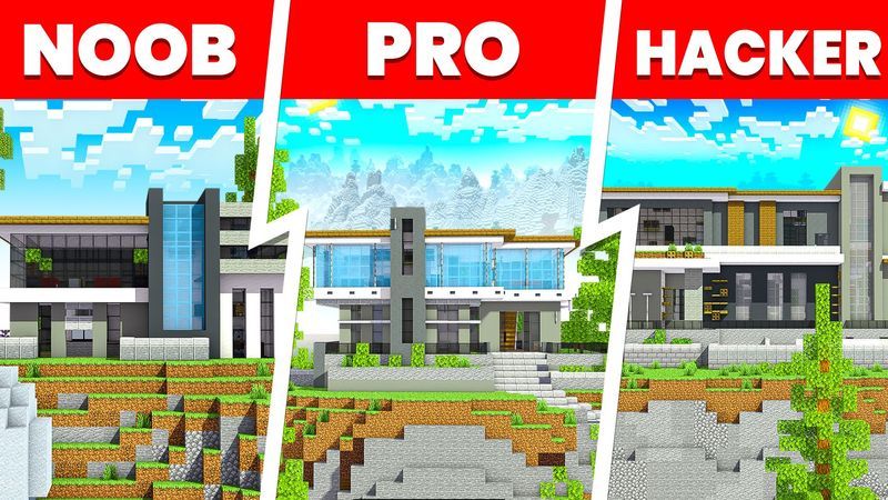 Noob Pro Hacker Mansions