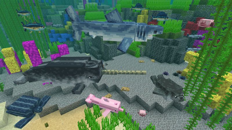 Aquatic Animals by HorizonBlocks