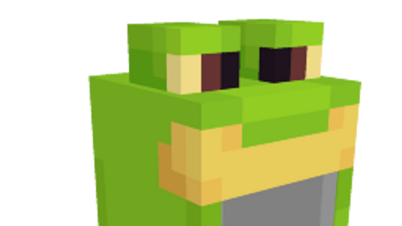 Frog Hat on the Minecraft Marketplace by Oreville Studios