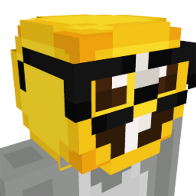 Nerd Face on the Minecraft Marketplace by CompyCraft