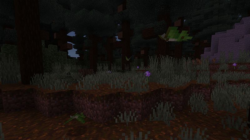 Butterflies & Moths Add-On by Paragonia