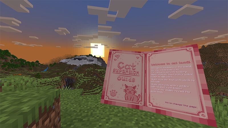 Cat Expansion Add-On by Bunny Studios