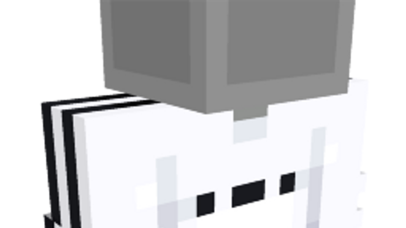 White and Black Top on the Minecraft Marketplace by Ninja Squirrel Gaming