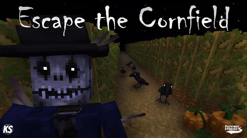 Escape the Cornfield