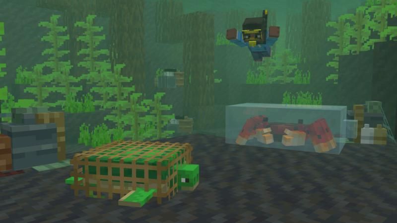 Ocean Heroes by Shapescape