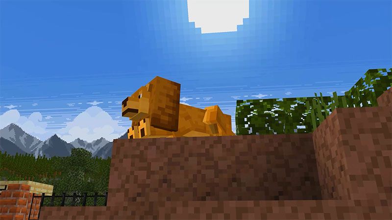 ZOO BUILDER by Team Workbench