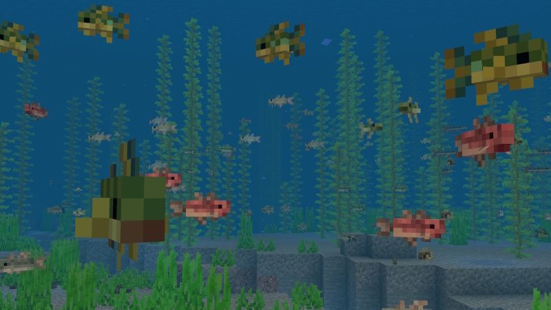 Aquaculture Add-On by Team Metallurgy