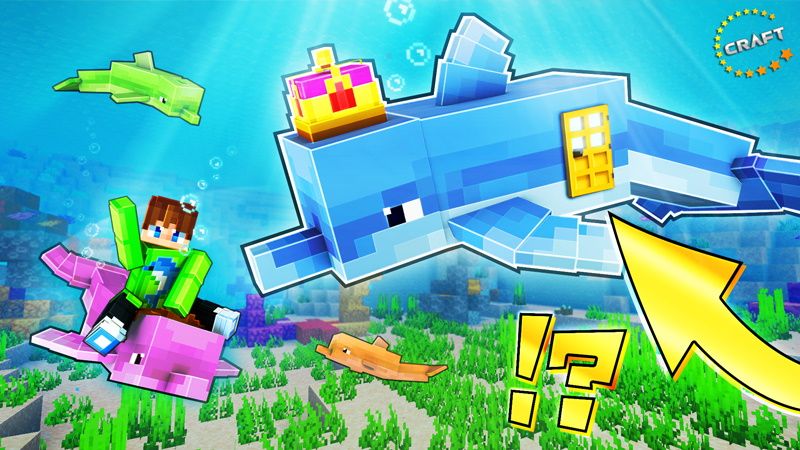 How to Live Inside a Dolphin on the Minecraft Marketplace by The Craft Stars