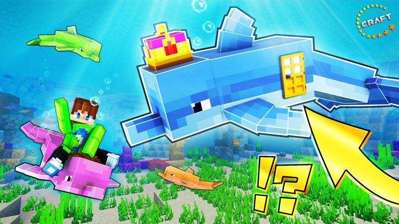 How to Live Inside a Dolphin on the Minecraft Marketplace by The Craft Stars How to Live Inside a Dolphin on the Minecraft Marketplace by The Craft Stars