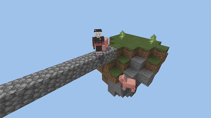 Skyblock SMP! by Pickaxe Studios