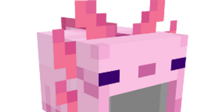 Cute Axolotl Hat on the Minecraft Marketplace by Misfits