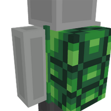 Turtle Shell Turtle Shell