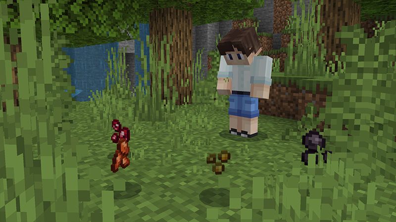 FOOD EXPANSION 1.2 by Minty