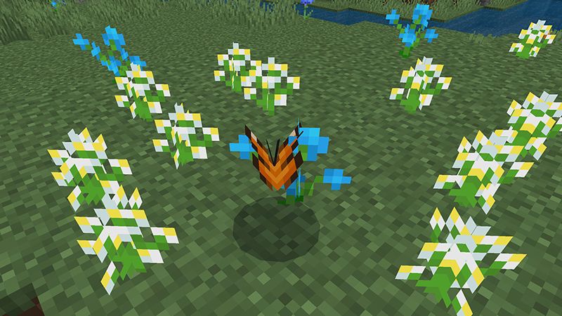 Butterflies & Moths Add-On by Paragonia
