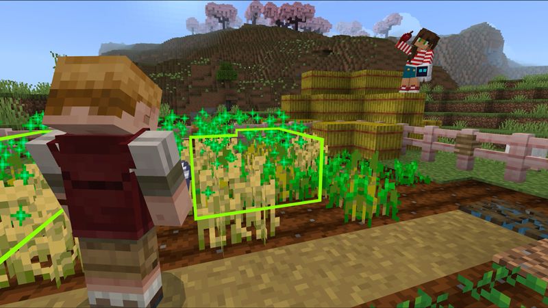 Mine Buddy Add-On by Blockception