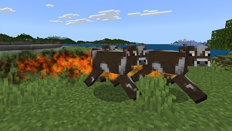 PLAYER TRAILS by Aurrora