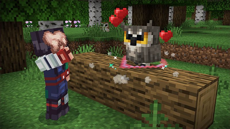 Owls Add-On by Noxcrew