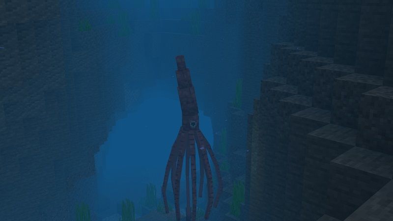 Ocean+ Add-On by Street Studios
