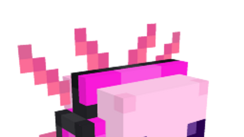 DJ Axolotl on the Minecraft Marketplace by Lostduckies