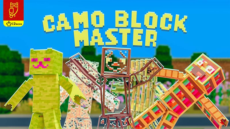 Camo Block Master