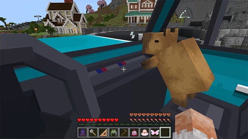 Capybara Town by Lifeboat