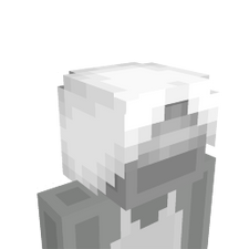 Guardian Hood Guardian Hood