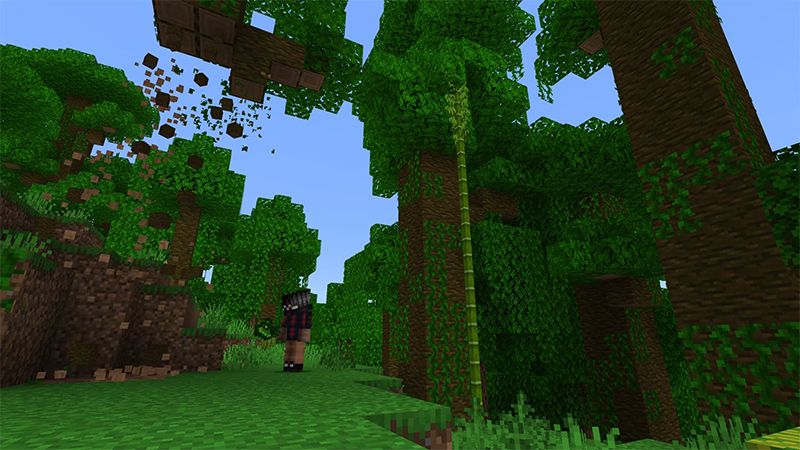 Hacker Add-On by Lifeboat