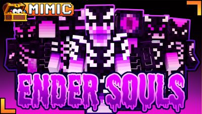 Ender Souls on the Minecraft Marketplace by Mimic