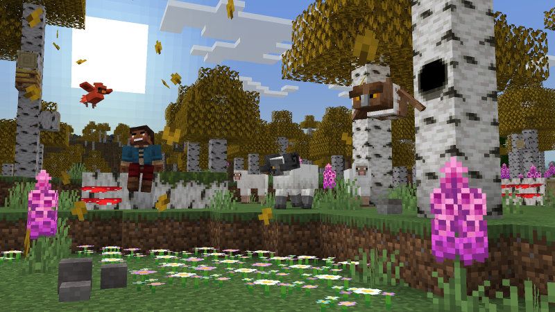 BiomeCraft Add-On 1.0 by BLOCKLAB Studios